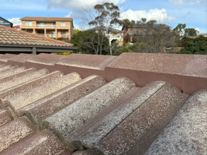 Limitless Roof Solutions tiled roof recapping close-up